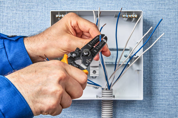 Best Electrical Panel Upgrades  in Memphis, FL